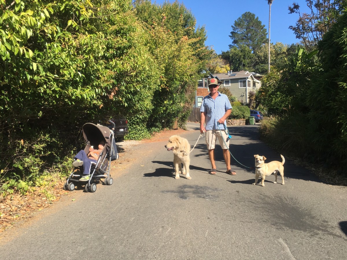 It’s picking up&nbsp;quickly!