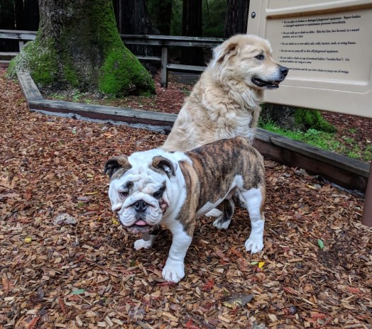 a0cc1d6d-c8c5-4fc0-a057-5ed221ddaba5